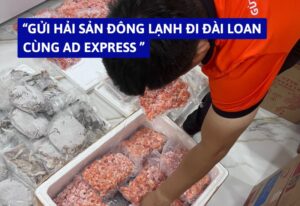 Gửi Hàng Đông Lạnh Đi Đài Loan